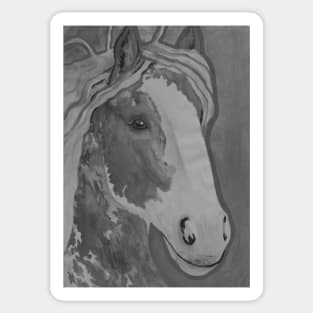 Black and white horse or pony Sticker